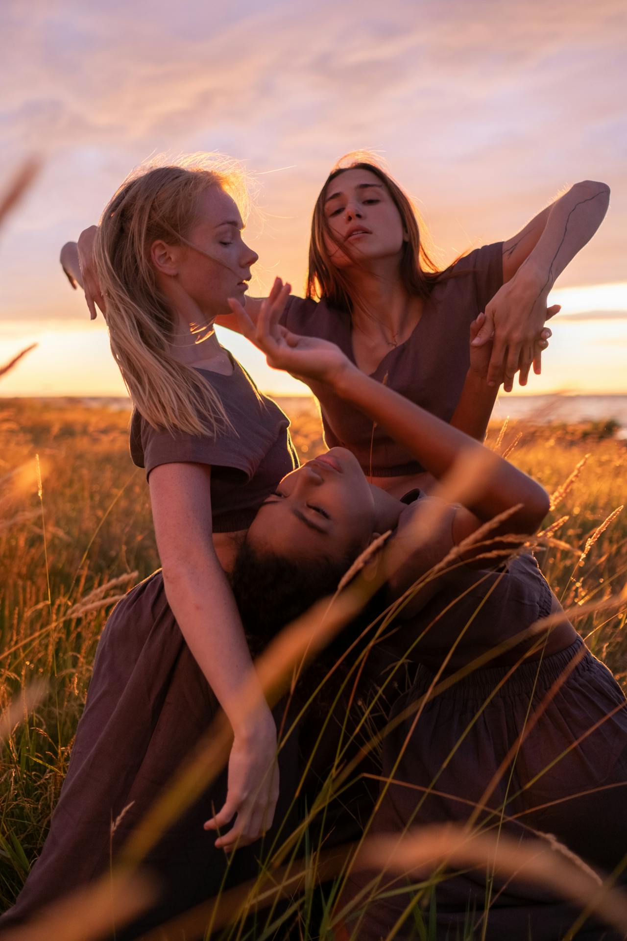 IN THE RYE